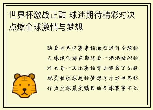 世界杯激战正酣 球迷期待精彩对决 点燃全球激情与梦想